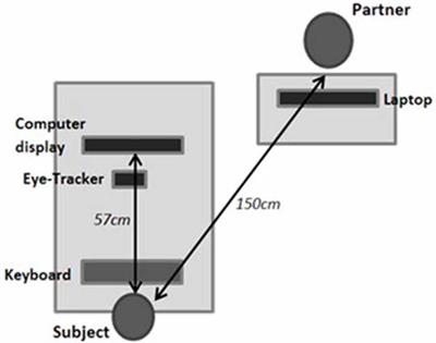 Peer Presence Effects on Eye Movements and Attentional Performance